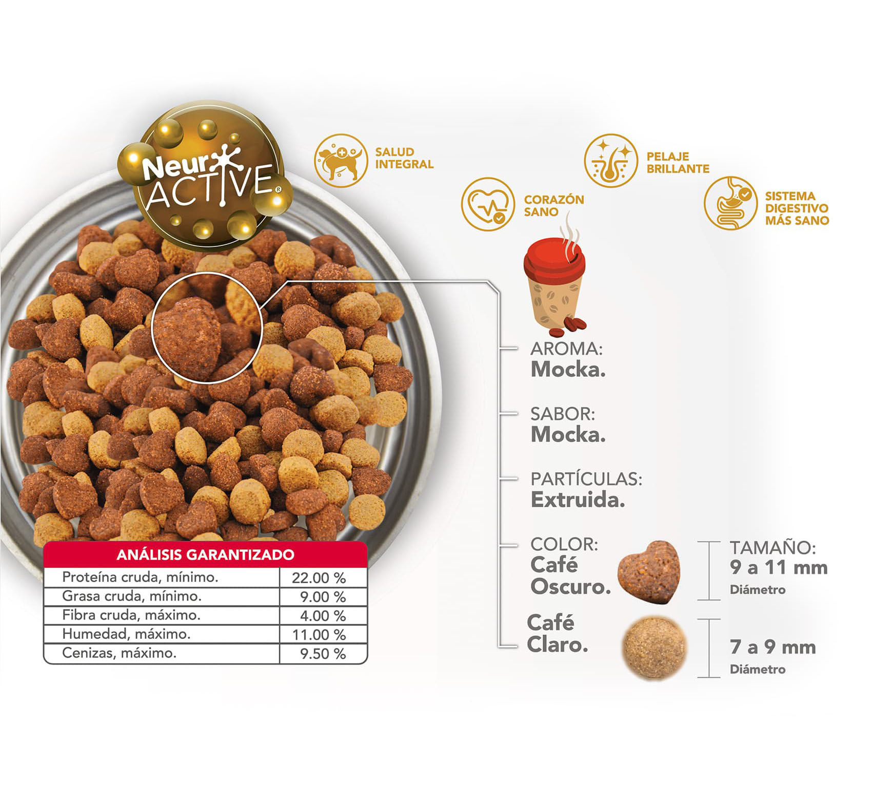 Smart Bites Adulto  ESP
