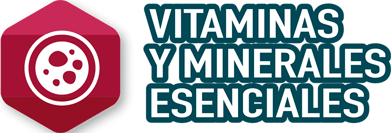 VITAMINAS Y MINERALES ESENCIALES