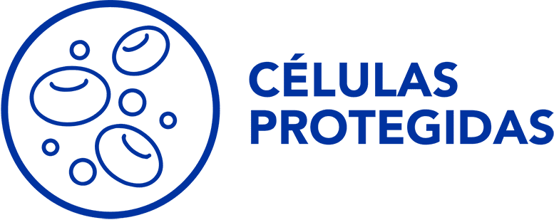 CÉLULAS PROTEGIDAS